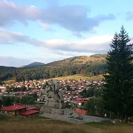 Family Panorama