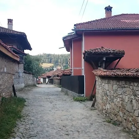 Family Panorama