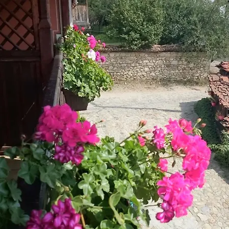 Family Panorama Hotel Koprivshtitsa