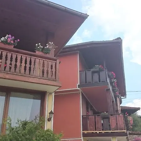 Family Panorama
